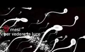Spermatozoïdes !!